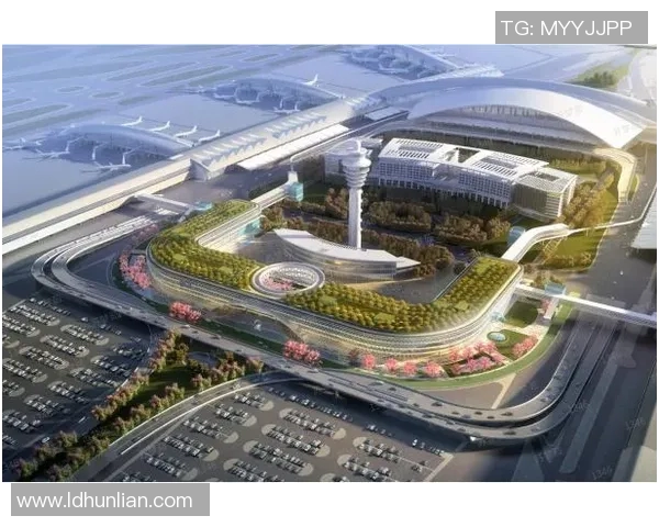 广州排球队中路突破创新策略解析与未来发展展望 广州排球队中路突破创新策略解析与未来发展展望