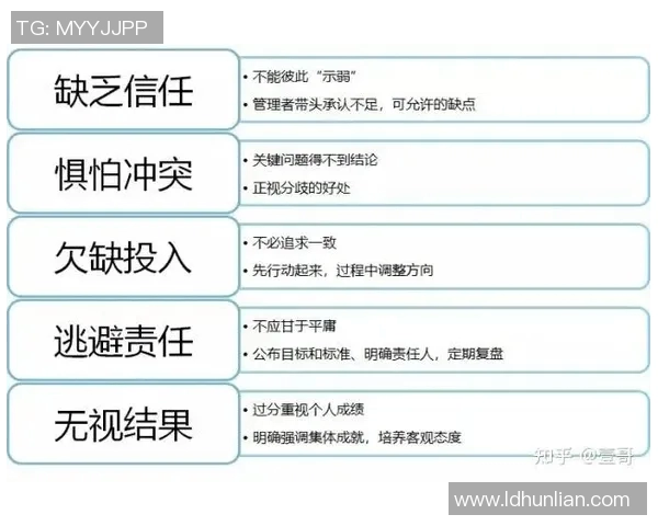 深圳篮球队战术革新引发热议探索新打法与团队协作的完美结合
