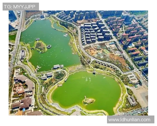 西安乒乓球队的崛起之路与辉煌成就全景回顾 西安乒乓球队的崛起之路与辉煌成就全景回顾